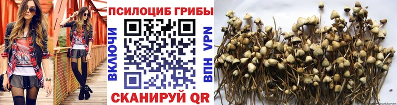 Галлюциногенные грибы ЛСД Николаевск-на-Амуре